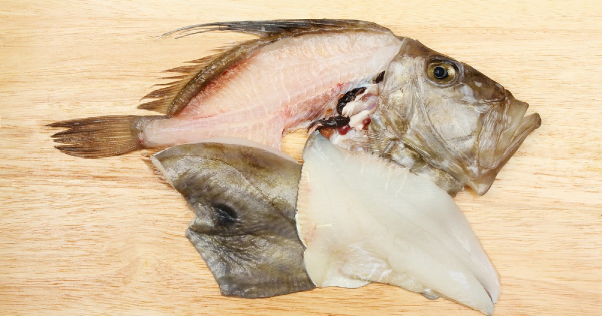 Inilah 5 Manfaat Ikan Dori untuk Kesehatanmu Kawaii 