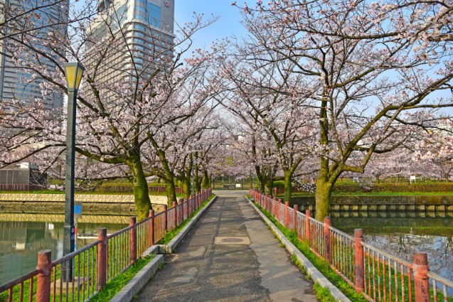 Kema Sakuranomiya Park, Osaka