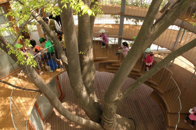 Bangunan unik di Jepang, TK yang mengelilingi pohon