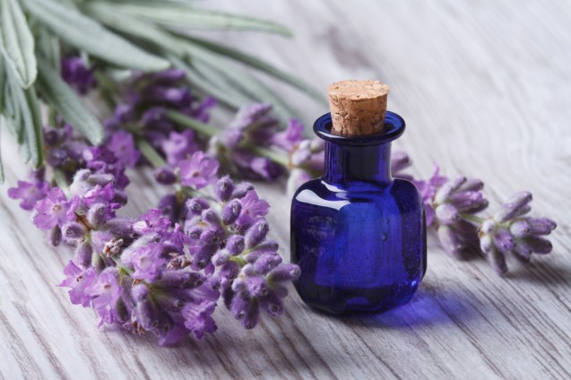 Minyak bunga lavender