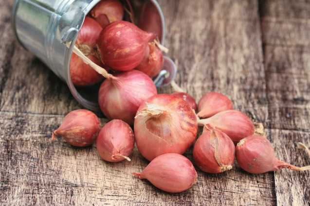 Bawang merah sebagai obat batuk tradisional