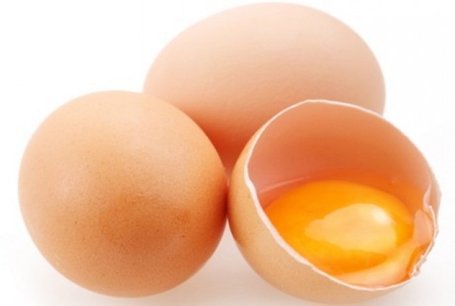Makan kuning telur